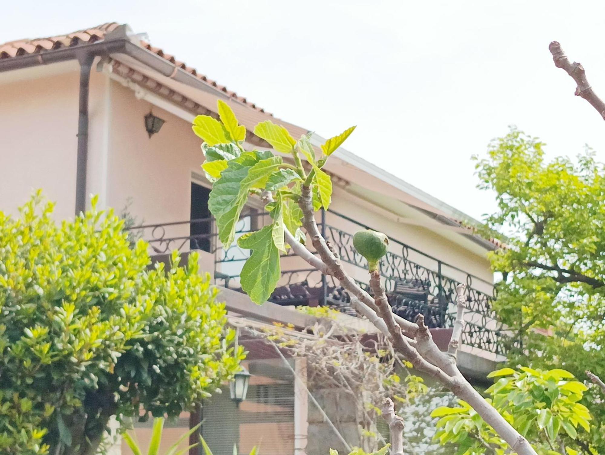 Green Park And Sunny Terrace Apartments Ankaran Extérieur photo